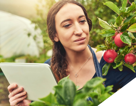 A woman in her garden inspecting fruit holding a tablet