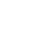 Sentinel One Logo